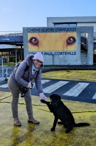 Thalès, futur chien guide d'aveugles au Centre Paul Corteville de Lille.