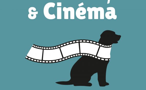 Couverture du podcast Handi'Cape & Cinéma : silhouette noire d'un chien traversée par une pellicule de cinéma sur fond bleu turquoise.